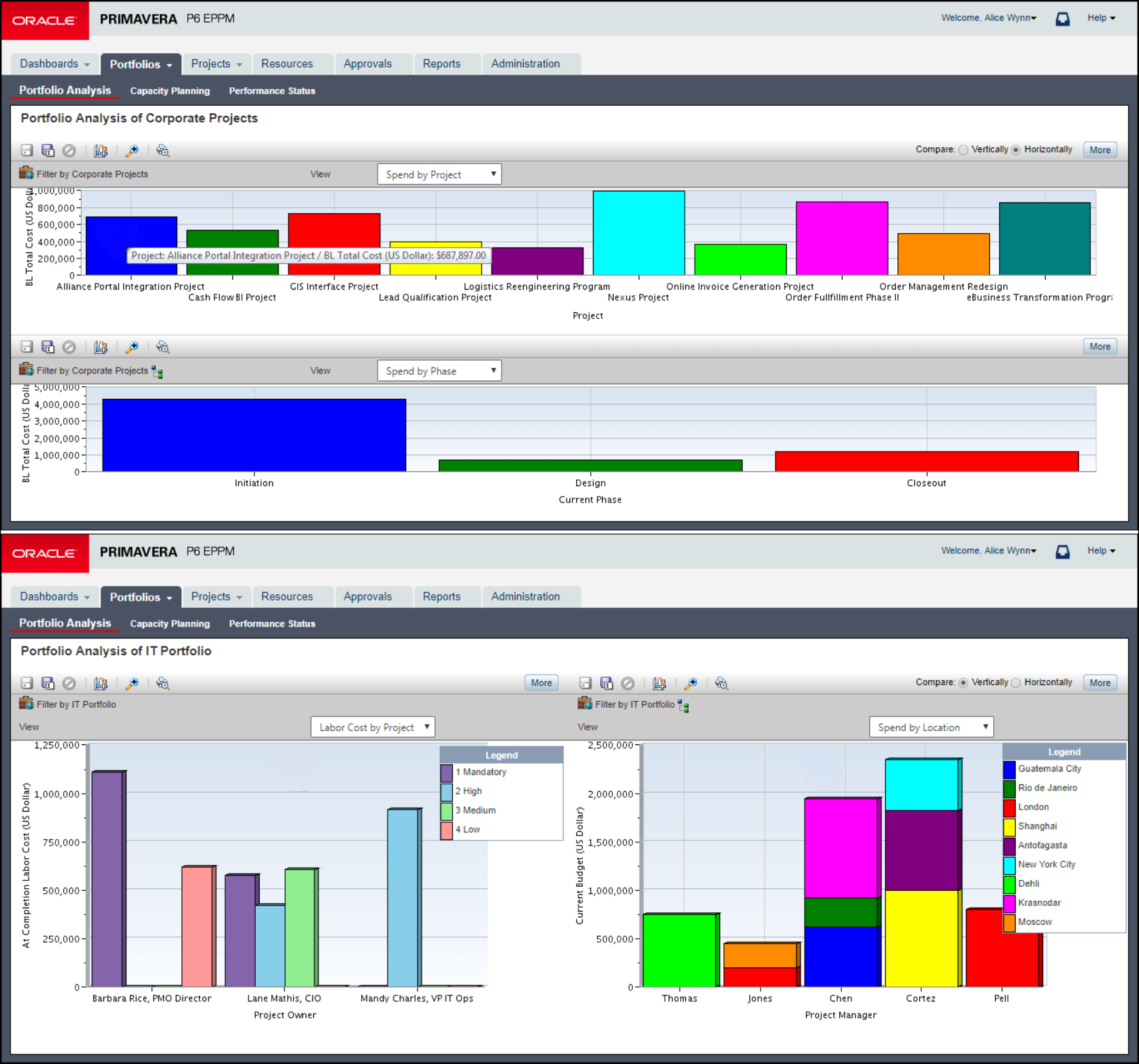 Screenshot of P6 EPPM Portfolio Management